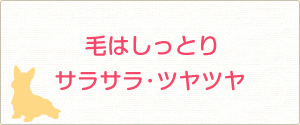 毛はしっとりサラサラ・ツヤツヤ