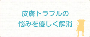 皮膚トラブルの悩みを優しく解消