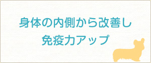 身体の内側から改善し免疫力アップ